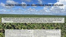 2022 AGU Presentation - Carbon Fluxes Of An Amazonian Palm Peatland