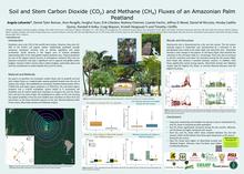 2022 AGU Poster - Soil and Stem Carbon Dioxide (CO2) and Methane (CH4) Fluxes of an Amazonian Palm Peatland